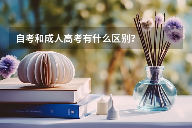 自考和成人高考有什么区别？