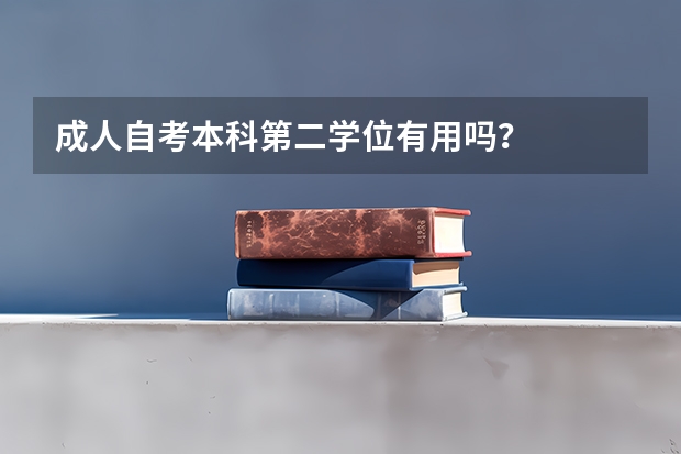 成人自考本科第二学位有用吗？