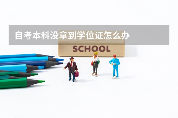 自考本科没拿到学位证怎么办